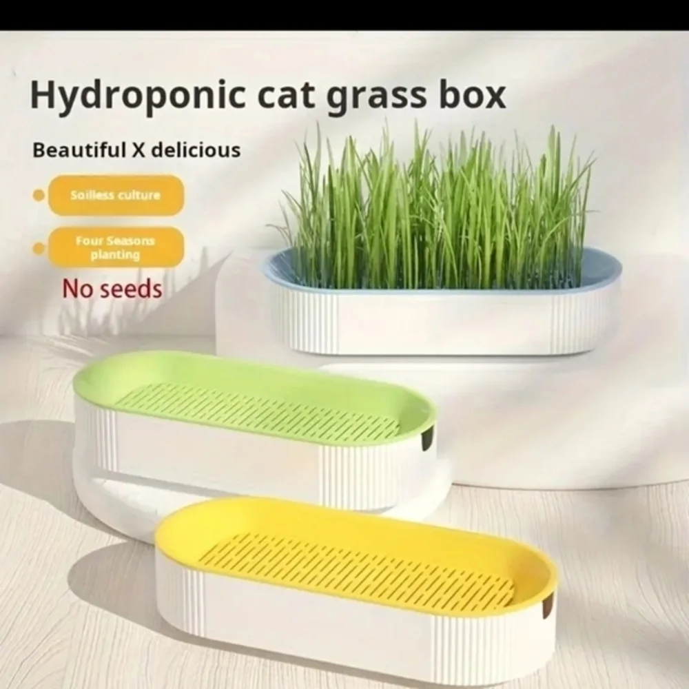 Organic Hydroponic Soil‎ Free Cat Grass Box Cat Nip Blue and White NWT